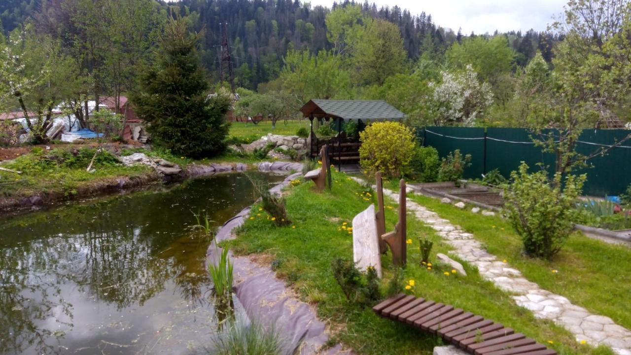 Апартаменти "У Кузьмича" 2 Mykulychyn Buitenkant foto